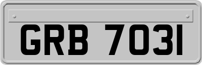 GRB7031