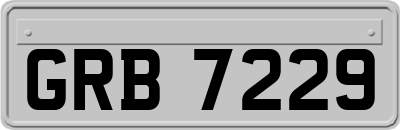 GRB7229