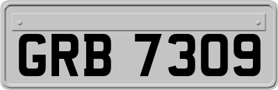 GRB7309