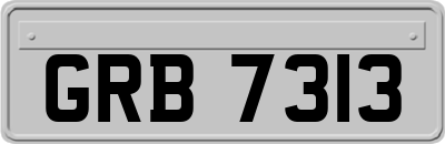 GRB7313