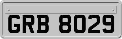 GRB8029
