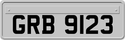 GRB9123