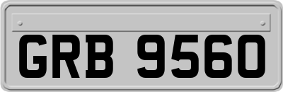 GRB9560