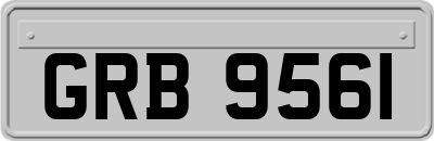 GRB9561
