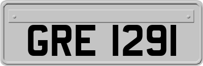 GRE1291
