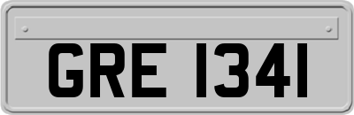 GRE1341