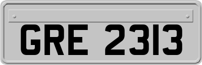 GRE2313