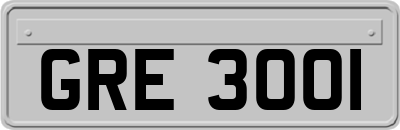 GRE3001
