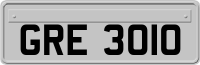 GRE3010