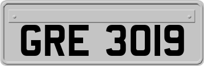 GRE3019