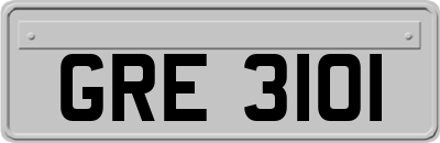 GRE3101