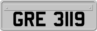 GRE3119