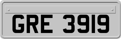 GRE3919