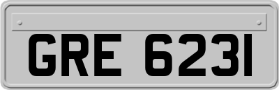 GRE6231