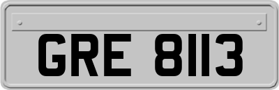GRE8113