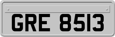 GRE8513