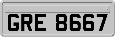 GRE8667