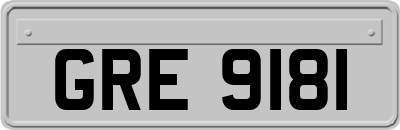 GRE9181