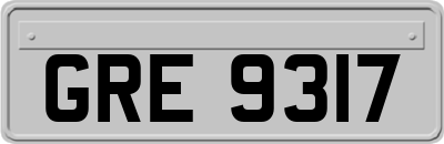 GRE9317