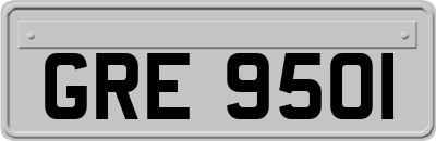 GRE9501