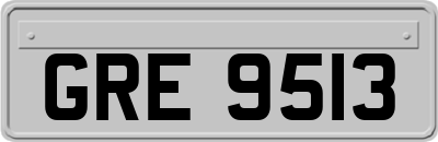 GRE9513