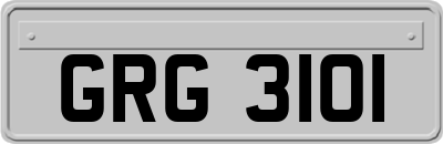 GRG3101