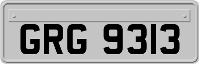 GRG9313
