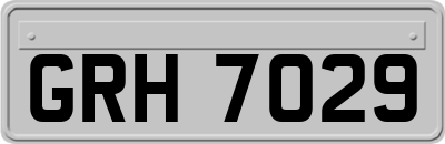 GRH7029