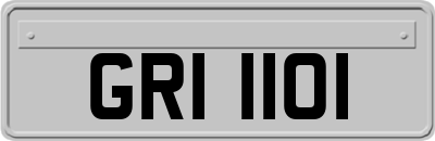 GRI1101