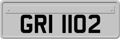 GRI1102