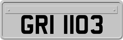 GRI1103