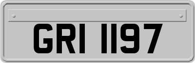 GRI1197