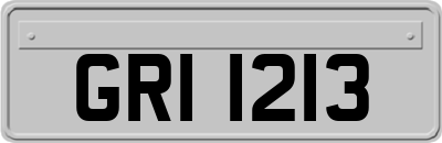 GRI1213