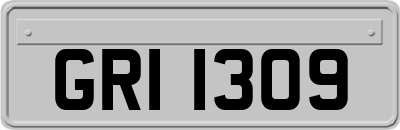 GRI1309