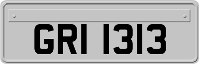 GRI1313