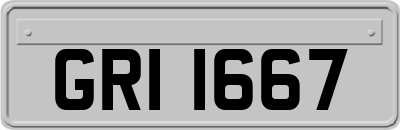 GRI1667