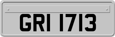 GRI1713