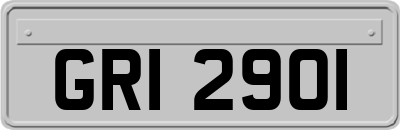 GRI2901