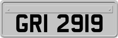 GRI2919