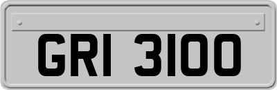 GRI3100