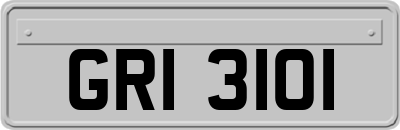 GRI3101