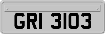 GRI3103