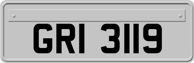 GRI3119