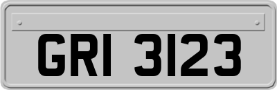 GRI3123
