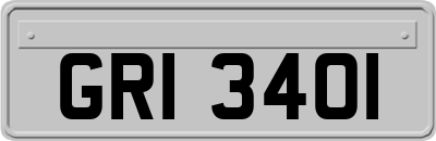 GRI3401
