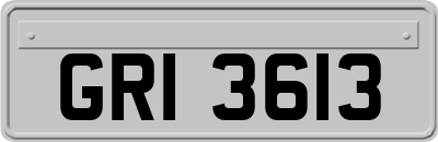 GRI3613