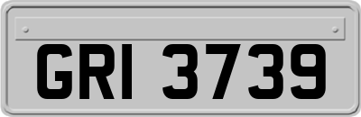 GRI3739