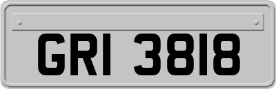 GRI3818