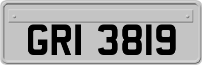 GRI3819