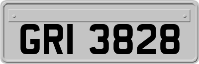 GRI3828